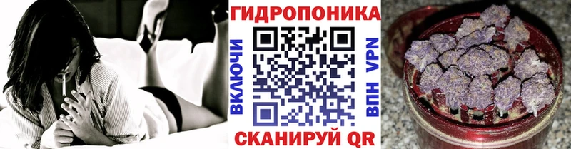 МАРИХУАНА ГИДРОПОН  Звенигово 